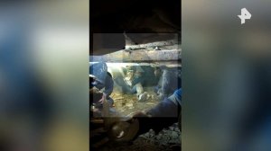 Кадры спасения женщины и ребенка из-под завалов после схода лавины в Дагестане