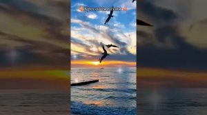 Kemal Rızaoğlu - Сердце тихо плачет в глубине души