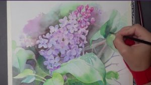 АКВАРЕЛЬНАЯ СИРЕНЬ 💜 Подробное руководство, включая прорисовку листьев и фона