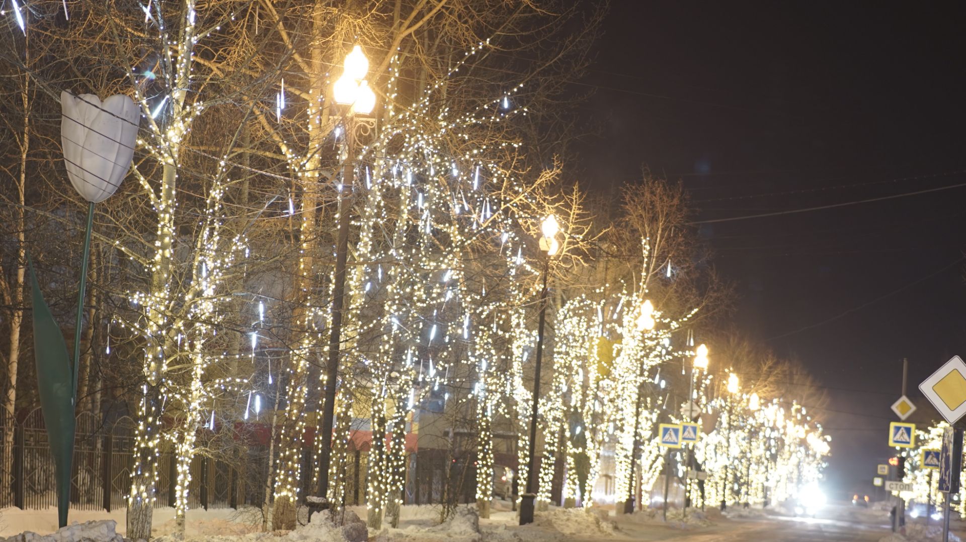 Световое уличное оформление деревьев