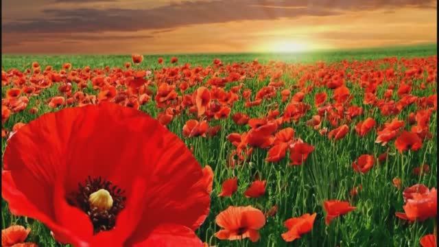 МУЗЫКА, КОТОРАЯ ПОМОГАЕТ ВЕРНУТЬ ДУШЕВНОЕ РАВНОВЕСИЕ