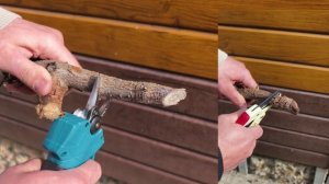 Набор для обрезки деревьев