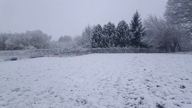 Погода 11 апреля 2026 года