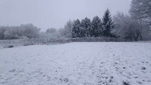 Погода 11 апреля 2026 года