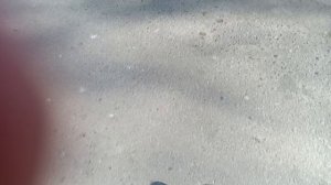 Обзор уборки мусорных баков по адресу Б.Хмельницкого,118