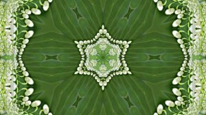 Футажи! Комплект Футажей Весенняя Ландышевая Сказка 3 от Киностудии Мудрого Кота Тимофея!