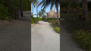 Остров Бандос (Bandos Maldives) Мальдивы