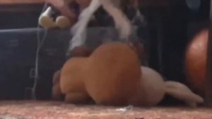 Поросёнок по имени Пятачок 2 история