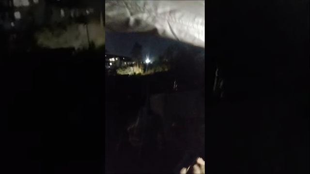 Алеутов обижают подростки