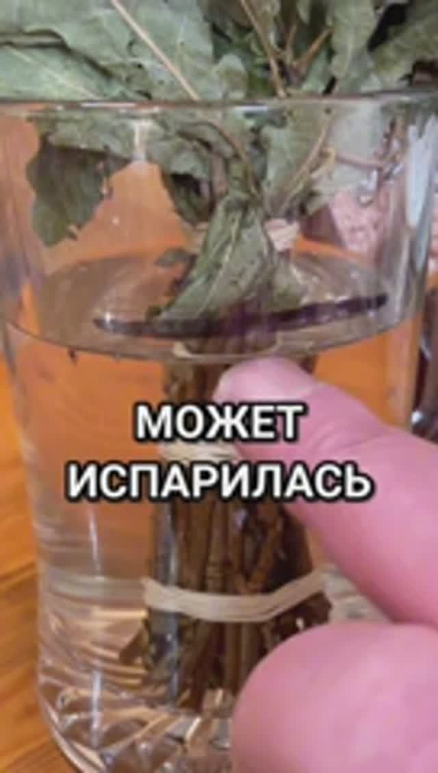 Все сомневались, но веник доказал это за 10 часов ❤