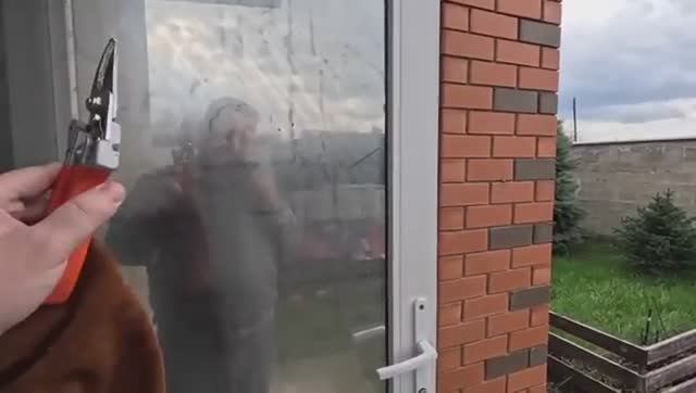 Жизнь вне орхидей-  обхаживаю КРАСОТОК ⧸⧸ каких оставлю а кто поедет со мной в дом на Юге жить