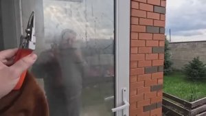 Жизнь вне орхидей-  обхаживаю КРАСОТОК ⧸⧸ каких оставлю а кто поедет со мной в дом на Юге жить