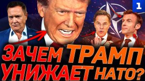 Зачем Трамп унижает НАТО?