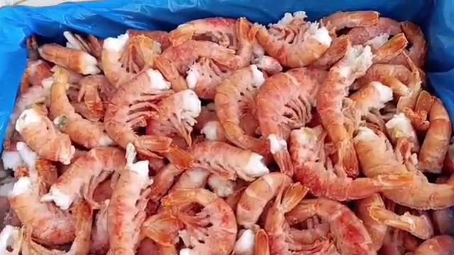 Креветка в/м