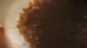 Johannes Hieronymus Kapsberger Preludio e Sfessania