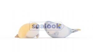 Импровизация SEALOOK Official