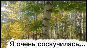 Я очень соскучилась...