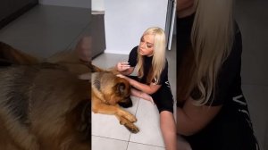 Деловой /крутой !
Полезно ?
Пиши коммент 😘