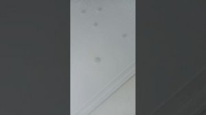 ПОКАЗЫВПЮ ИГРУШКИ ЧАСТЬ 2