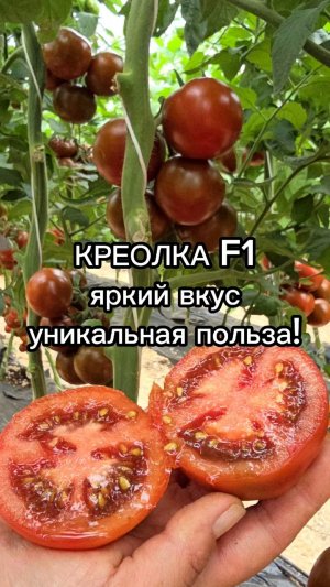 В чем УНИКАЛЬНАЯ польза этого томата?