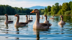 *** "ГУСИ" – АЛЕКСЕЙ ПЕТРУХИН & ЯРОСЛАВ СУМИШЕВСКИЙ  ***