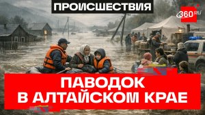 Паводок подтопил свыше 140 домов и около 300 участков подтопило на Алтае из-за паводков. Кадры