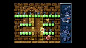 Rodland (1991) [Amiga 500]