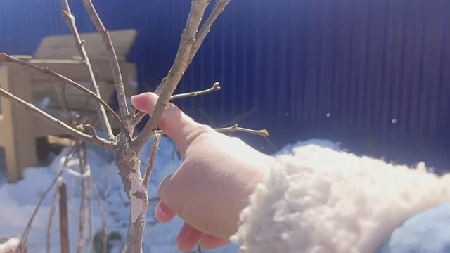 начало апреля/ будни 2026