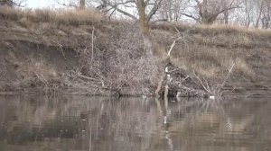 АВАНТЮРА ВЕКА! ТАКОЕ ВПЕРВЫЕ В ЖИЗНИ! Зимняя рыбалка 2025.