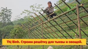 Thị Bình. Вьетнам. Будни на ферме. Строим решётку для тыквы и овощей из бамбука.