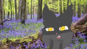 разбор сьюх и реакцианеров