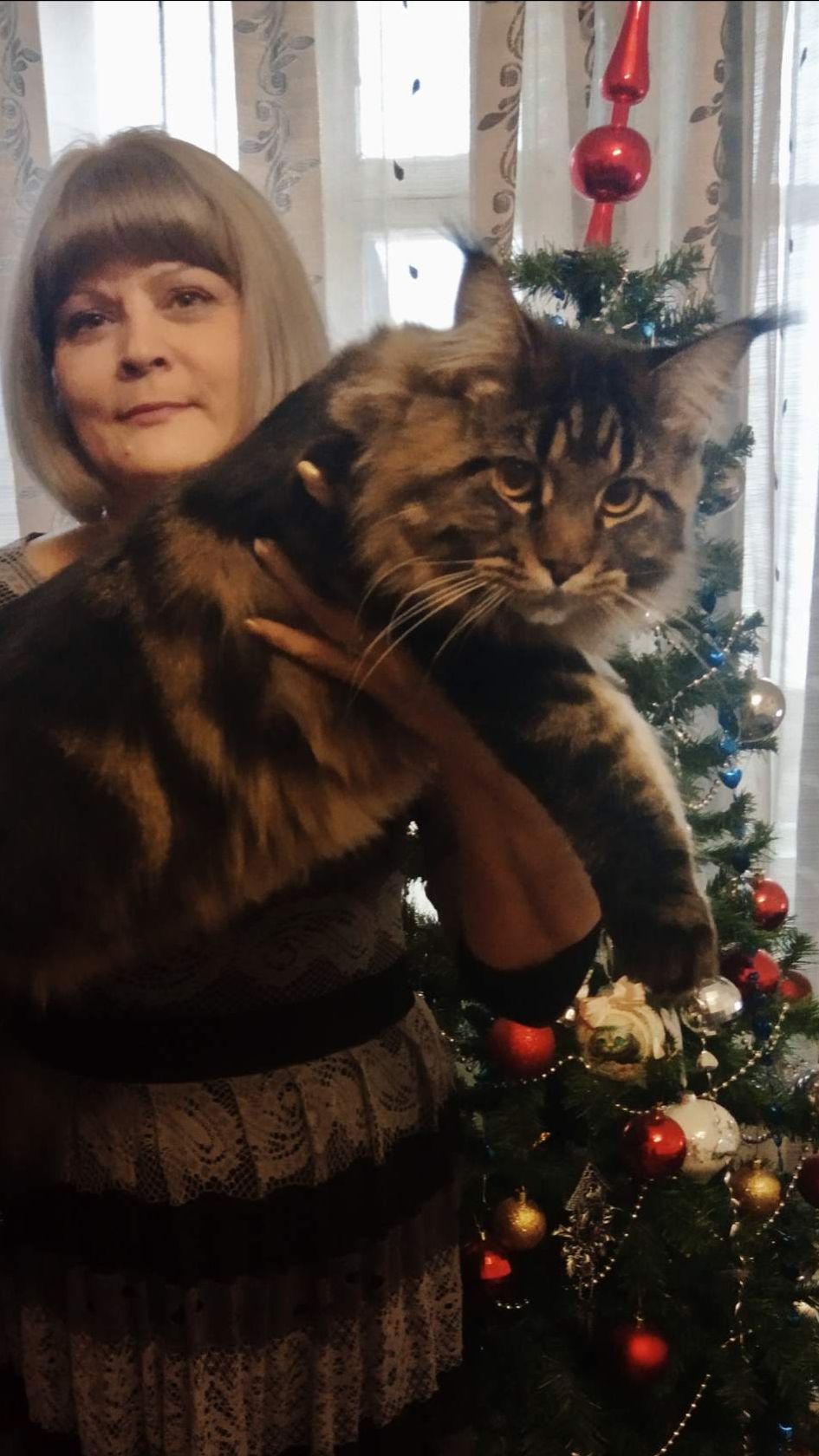 Мои лапочки.