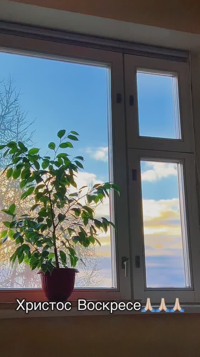 Доброе утро в моем окне🙏🏻