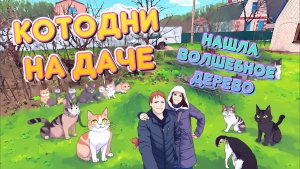 КОТОДНИ на даче: ремонт дороги, коты и ВОЛШЕБНОЕ ДЕРЕВО