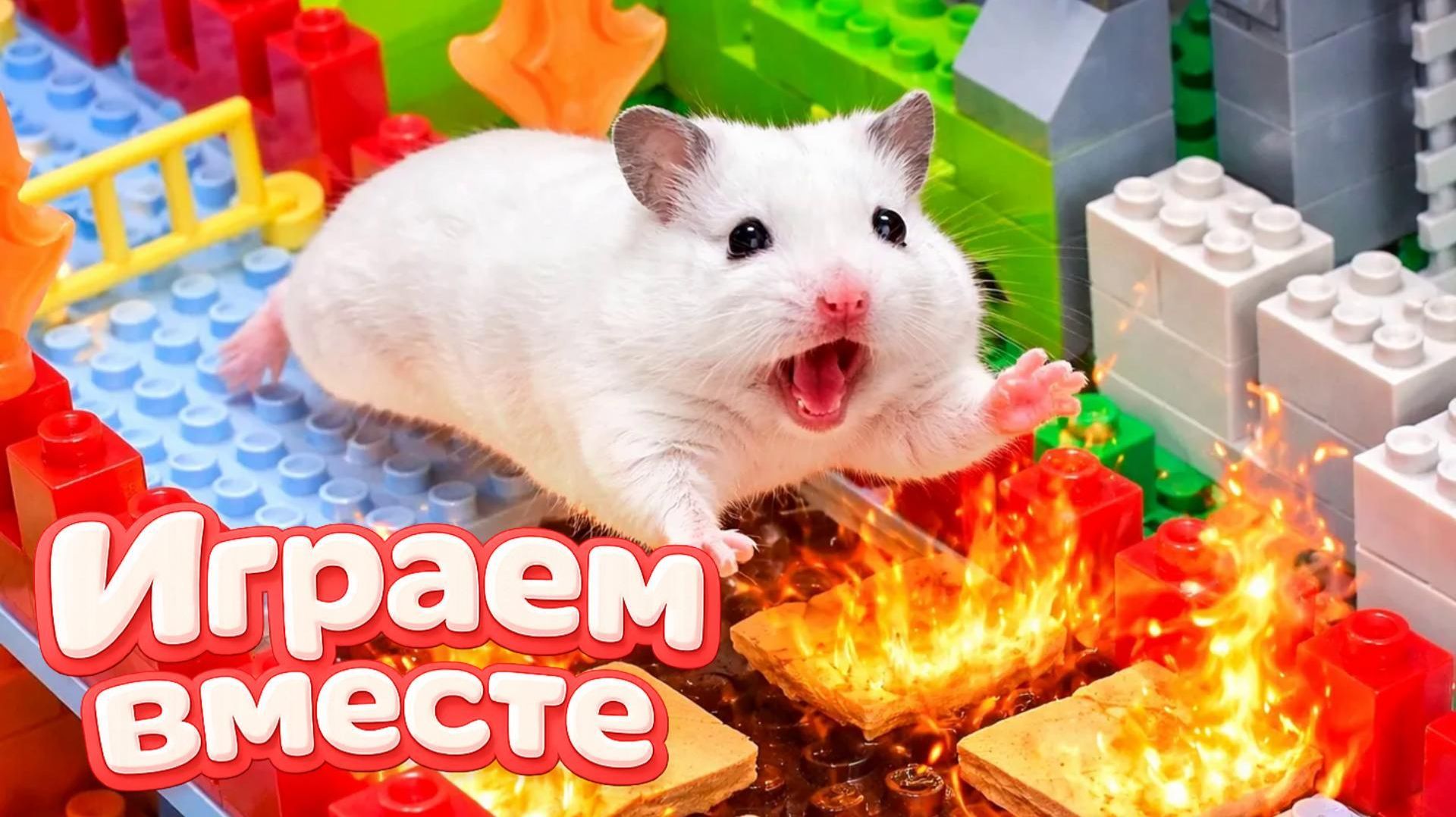 ЛАБИРИНТ С ЛОВУШКАМИ ДЛЯ УМНОГО ХОМЯКА 🐹 ВИДЕО ПРО ХОМЯКА ДЛЯ ДЕТЕЙ 💖