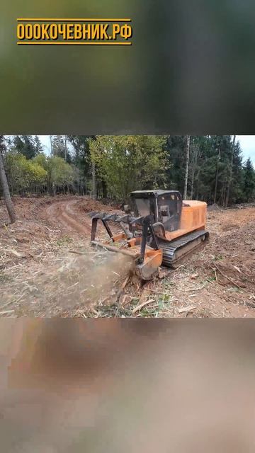 🚀 Запускаем новый формат клипов - видеокомиксы