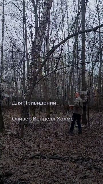 1025 454 
Я Не Красивая Женщина.
На Меня; Не На Что Смотреть,
И Поэтому Единственное,
Что Я Могу Дел