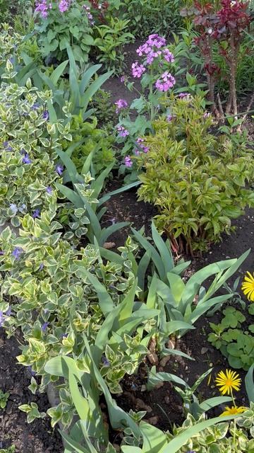 💎Симоронский ритуал на богатство 💳