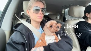 Едем на дачу 🏠 Детей в ссылку Подарки родителям О строительстве дома Мукбанг в авто Вкусно и Точка