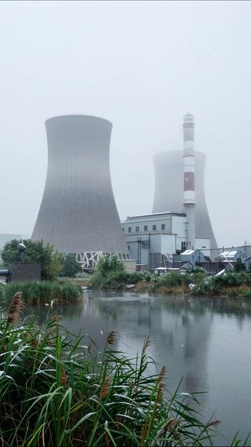 Загадка промышленности: туман над заводом #промышленность #технологии #природа