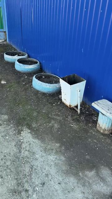 Когда цены на Оперативку упадут?