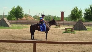 Конное шоу в Венгрии.