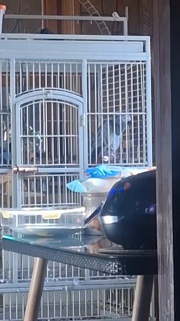 УРА...УРА...УРА...😃😄😁