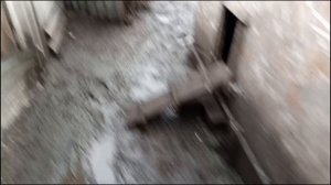 кормлю своих птиц🐓 приехало новое животное. ❓