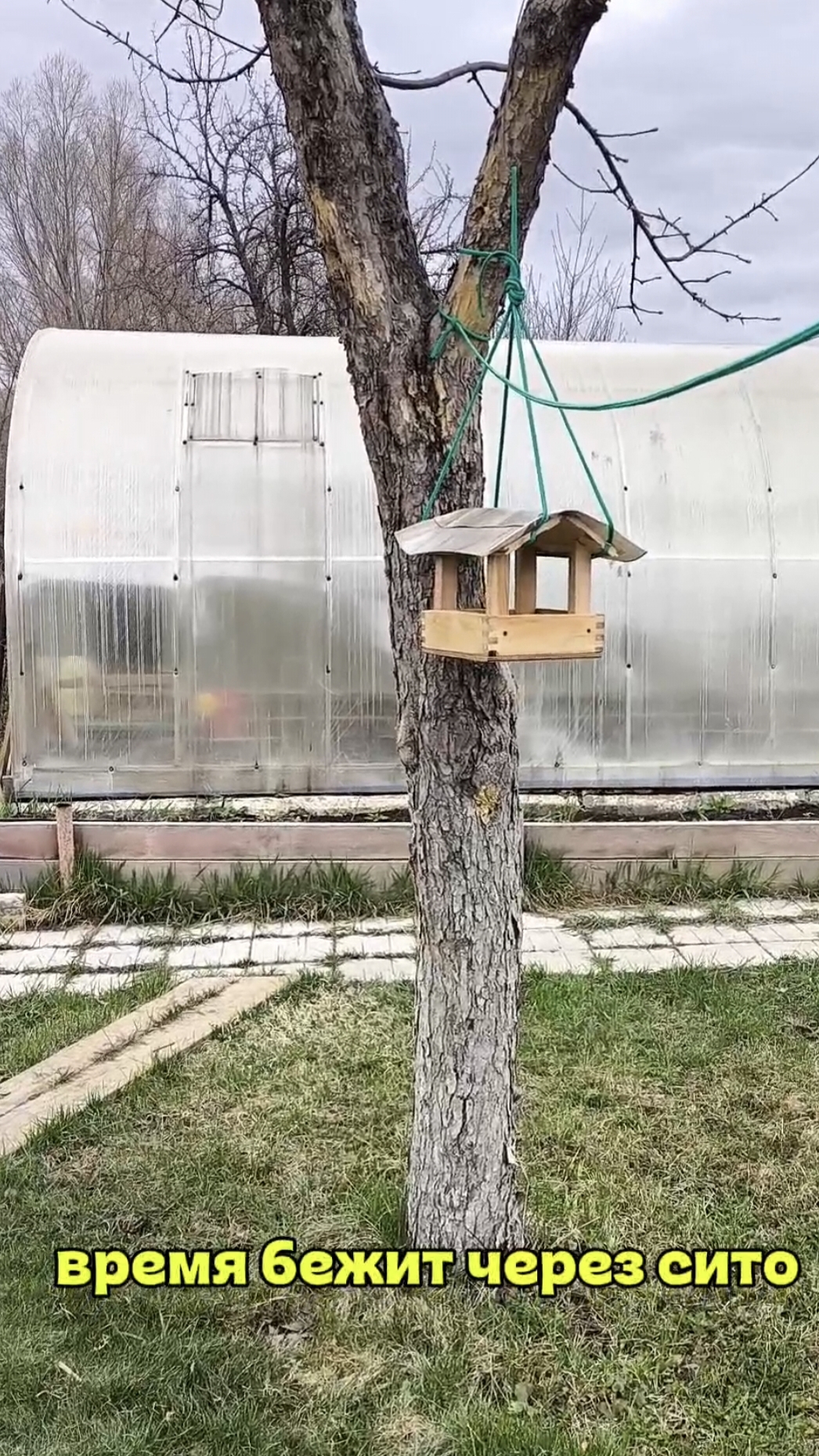 Каменный город