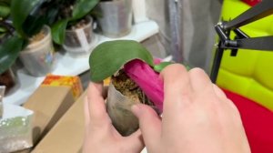 Распаковка посылки от Зебо