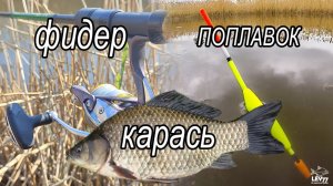 Карась на фидер и поплавок - какой способ эффективнее?