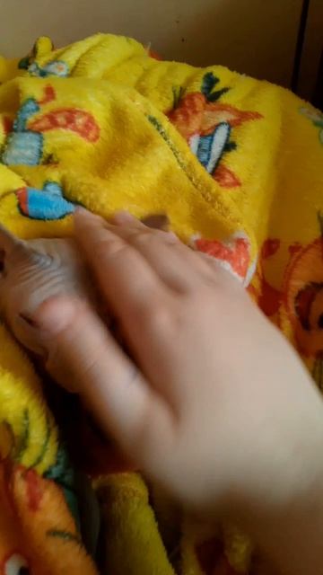 Моя кошка(5 Часть-Финал...)