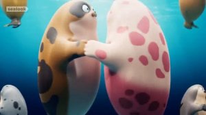 Радуга SEALOOK Official