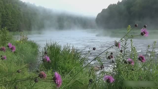ШУМ РЕКИ ДЛЯ ДУШЕВНОГО СПОКОЙСТВИЯ